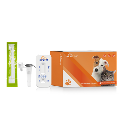 CCV Ag 신속 테스트 키트