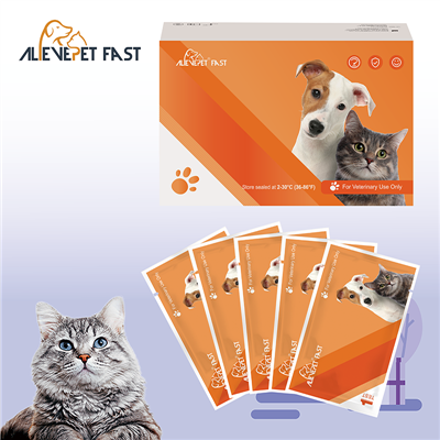 FAB 신속 테스트 키트