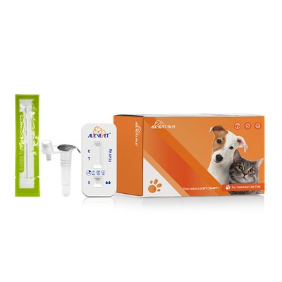 FCOV Ag 신속 테스트 키트